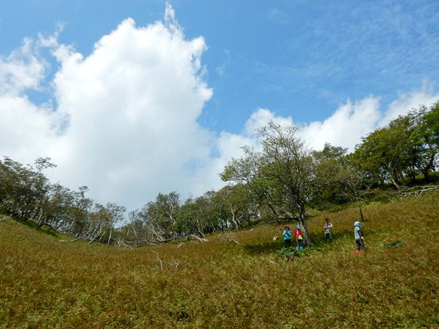 皆子山