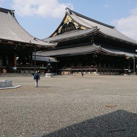 京都の朝は