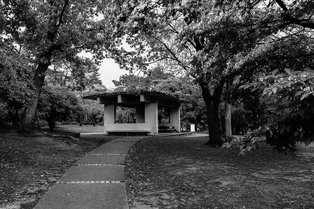 大阪府服部緑地公園