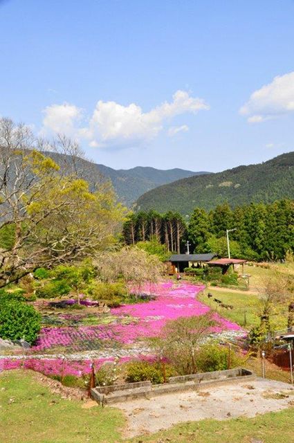 「自然循環型」山本牧場