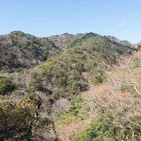 神戸市六甲山