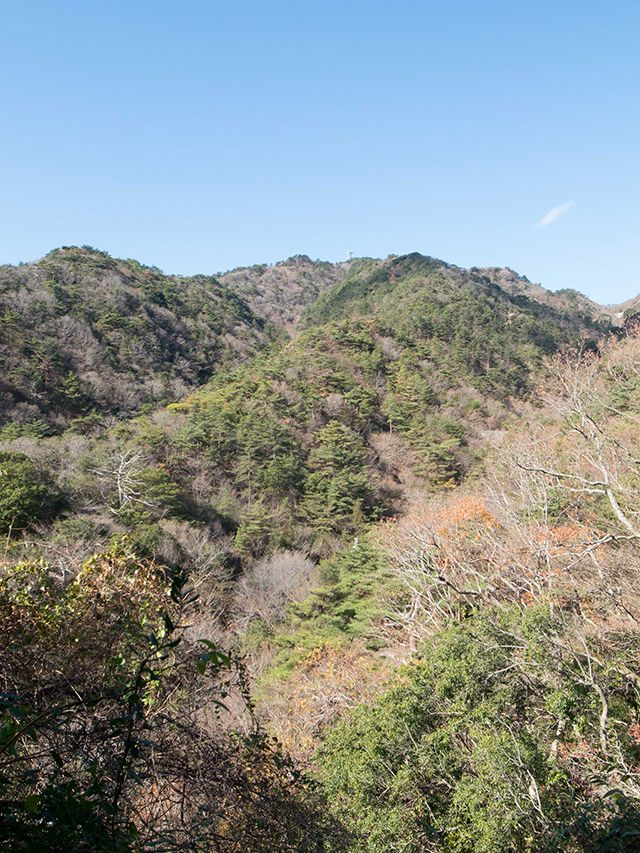 神戸市六甲山