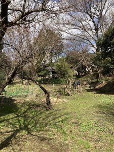 楚人冠記念館。広大な敷地に母屋、茶室、離れがある。