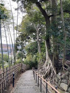 天神坂。この坂の上が嘉納治五郎の別荘と柳宗悦邸の跡地