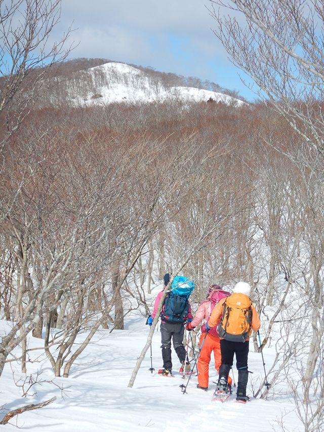 湖北三国山