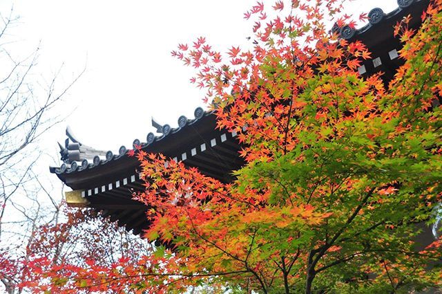 新居浜「慈眼寺」