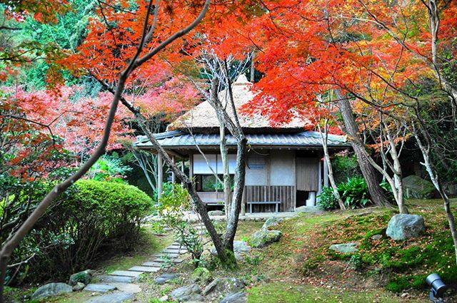 新居浜「慈眼寺」