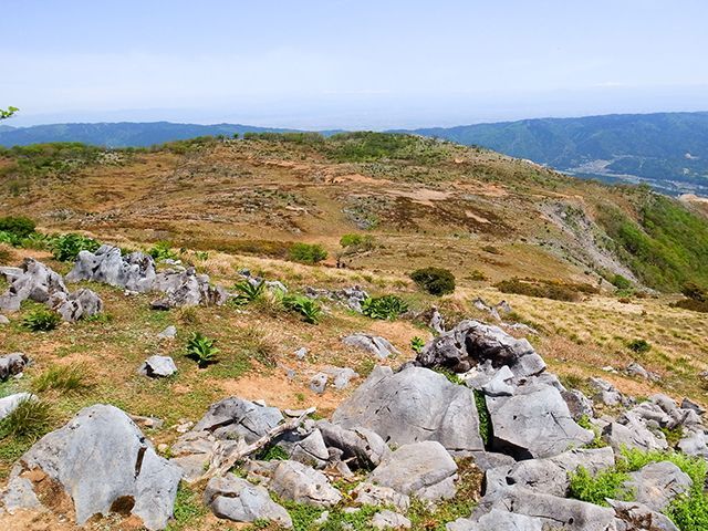 藤原岳