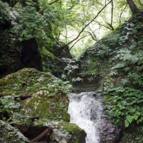 山の風景から