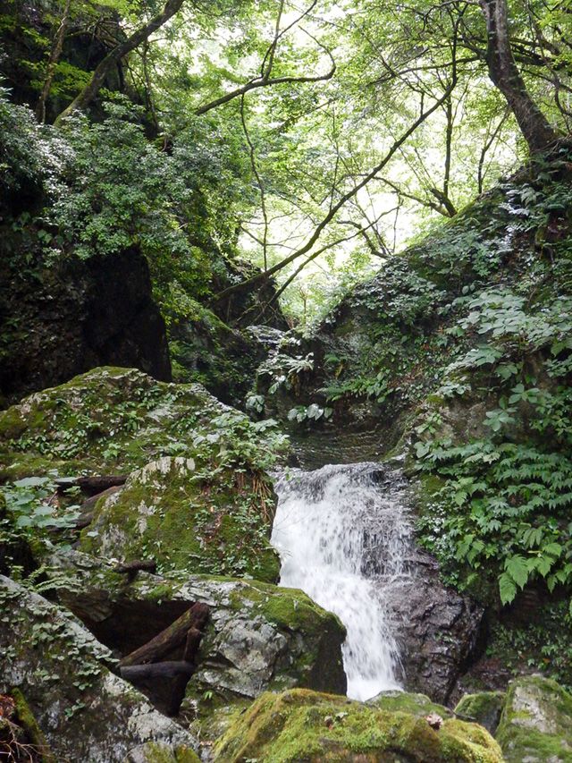 山の風景から