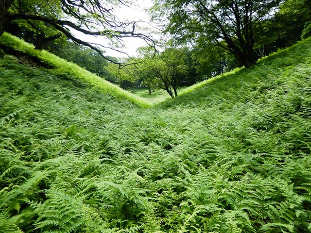 山の風景から