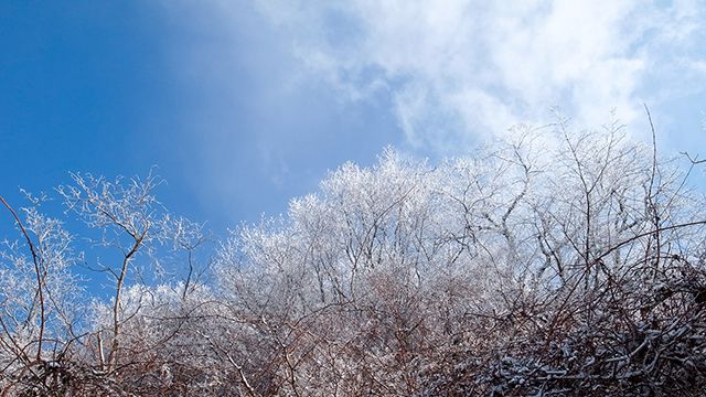 神戸市六甲山