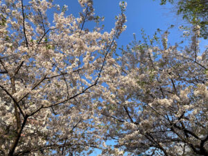 六義園