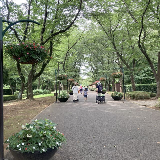 ふなばしアンデルセン公園