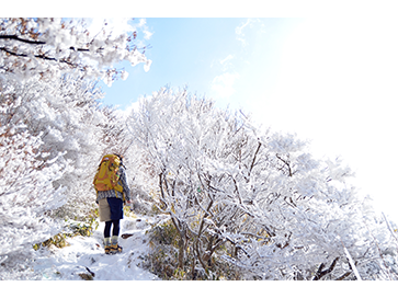 雪さくら 輝く。／雲仙普賢岳にて