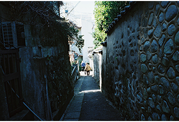 春まち小道をゆけば。～丸山町にて