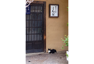 しろくろねこに出会う朝。～長崎市銅座町にて