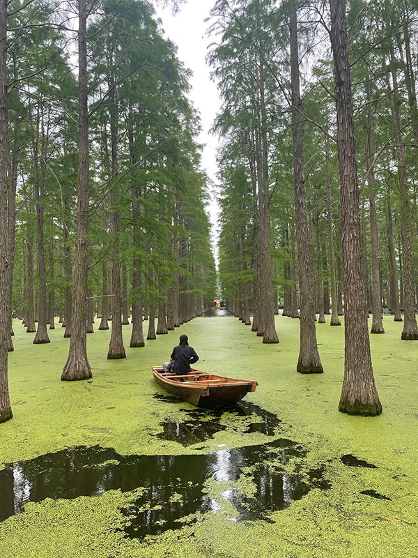 渌洋湖湿地公園