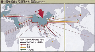 中国を経由する違法木材製品