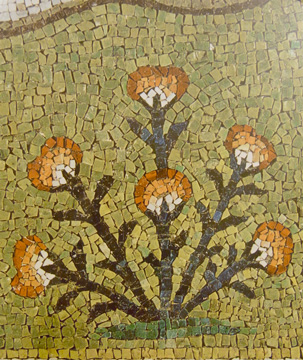 サンタポリナーレ・イン・クラッセ聖堂　足元の花