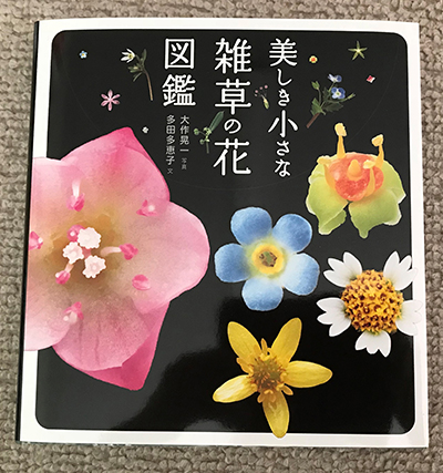 美しき小さな雑草の花図鑑