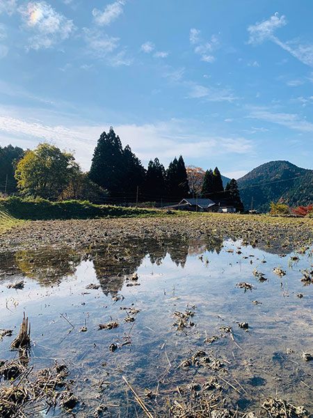 ウエンダ 冬季湛水