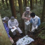 下層植生の調査