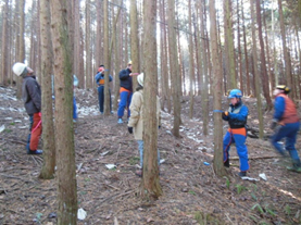 「どの木を残して、どの木を伐るか。」