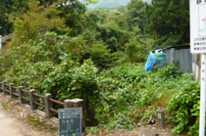 整備前の集落内の谷川周辺の風景