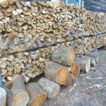 伐採した広葉樹を薪として商品化