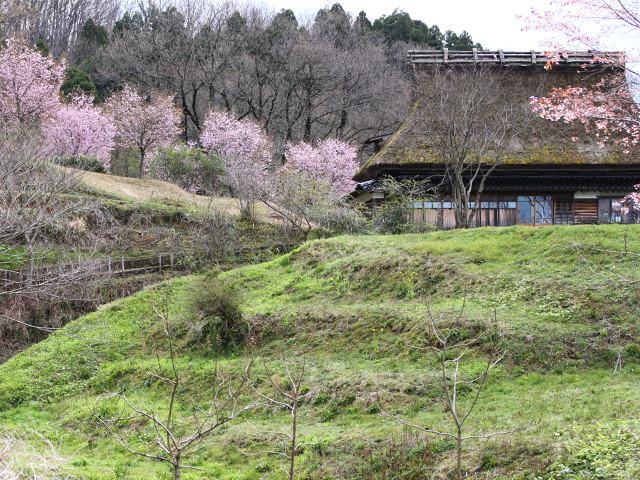 古民家は旧鳥越村より移築されました。