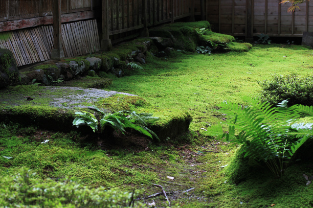 人々の営みがつくりだした風景。