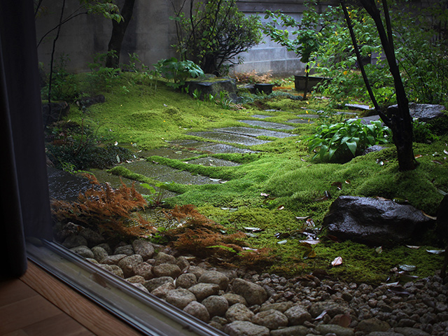 苔と馴染み見た目にはよいのだけど…。（2020年4月26日）