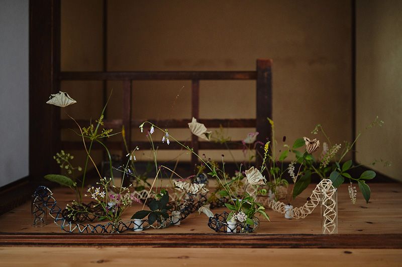 枯蓮　かやつり草　うどの花　洋種山ごぼう