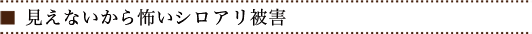 見えないから怖いシロアリ被害