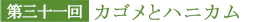 第三十一回 カゴメとハニカム