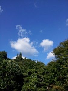 中津江村の秋の空