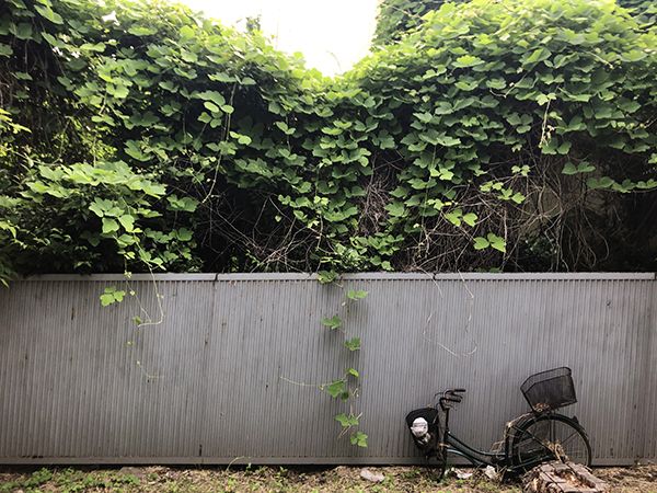 「差別」の風景、まだすてないで?