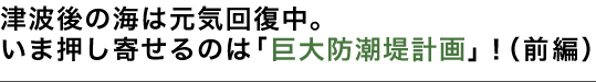 津波後の海は元気回復中。いま押し寄せるのは「巨大防潮堤計画」！（前編）