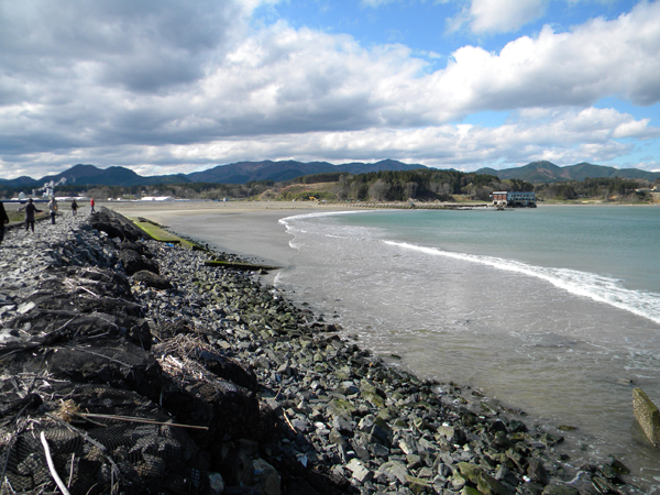 宮城県気仙沼市の小泉近くの海岸は、砂が戻りつつある。現行計画では砂浜はすべて防潮堤でおおわれ消失する」（撮影：日本自然保護協会）