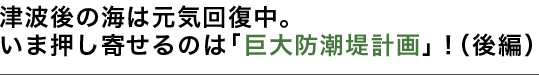 津波後の海は元気回復中。いま押し寄せるのは「巨大防潮堤計画」！（前編）