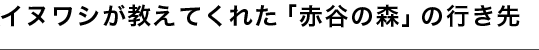 イヌワシが教えてくれた「赤谷の森」の行き先