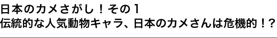 日本のカメさがし！その１ 伝統的な人気動物キャラ、日本のカメさんは危機的！？