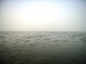 PM2.5にかすむ中津干潟（2013年12月5日）