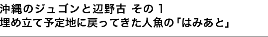 沖縄のジュゴンと辺野古