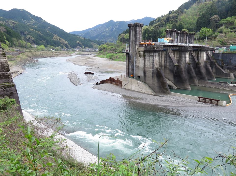 荒瀬ダムの一部が撤去され流れを半分取り戻した球磨川（2015年4月12日、つる詳子さん撮影）。
