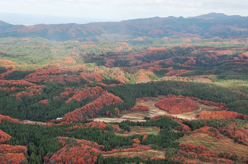 偶然飛行機から撮れた能登の里山の上空写真。左下の白い屋根が自宅兼のがし研究所。