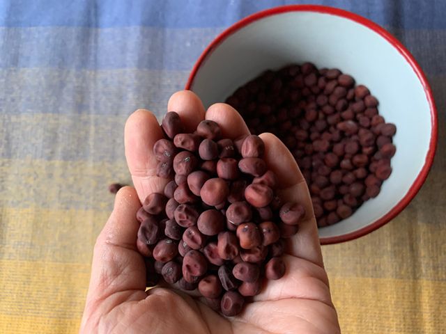 よくある茶色っぽいエンドウ豆とは違って、小豆の様な深紅の見たこともない豆。