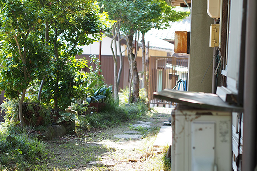 空き家となってからもお手入れされていました