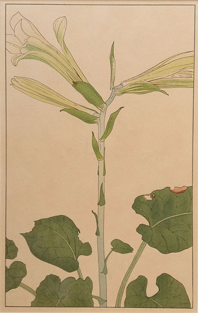 杉浦非水『百花譜』（1920年）より